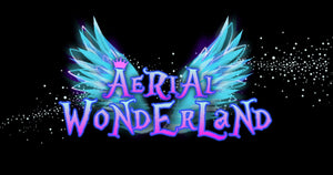 Aerial Silks Competition